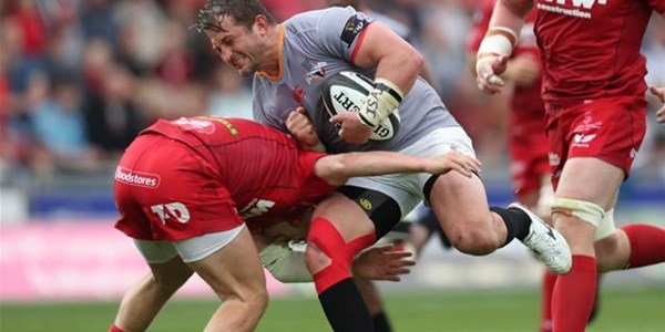 Cheetahs keen to set the record straight Cheetahs keen to set the record straight | News Article