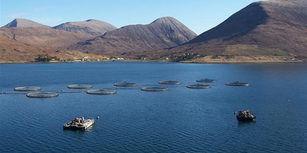 Aquaculture - the future of farming | News Article