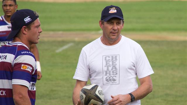 Cheetahs target improved attack | News Article