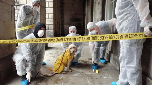 Bfn ‘detectives’ to hunt The Ripper | News Article