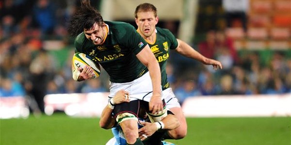 Potgieter contracted by the Cheetahs | News Article