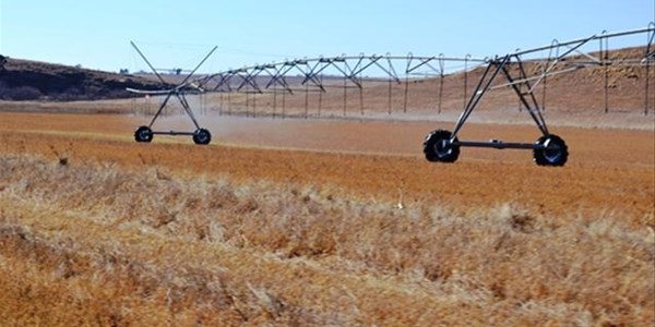 Main agricultural stories on OFM News Main agricultural stories on OFM News | News Article
