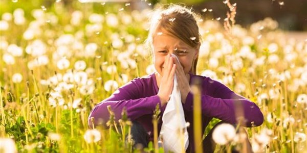 Pollen report for 26 February - 4 March 2021 Pollen report for 26 February - 4 March 2021 | News Article