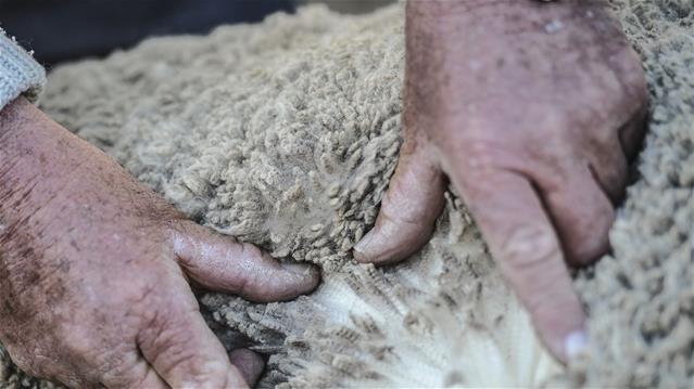 Landbounuus-podcast: Wolmark mag sywaarts beweeg | News Article