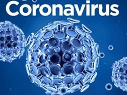 #CoronavirusSA: Deaths decrease | News Article