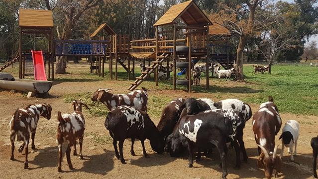 Agri-toerisme: Eienaar praat besigheid, en #Covid19  | News Article