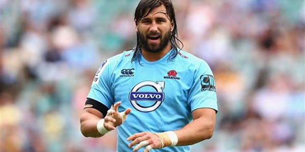 Potgieter reports for duty at the Cheetahs Potgieter reports for duty at the Cheetahs | News Article