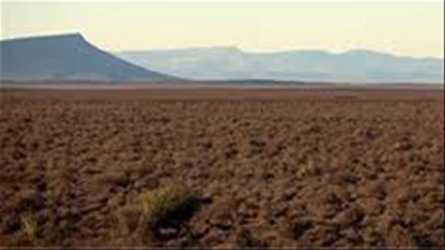 FS residents beg municipality for land | News Article