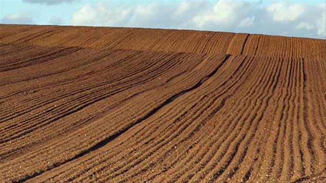 Agri-Uur: Jongste Safex-nuus | News Article