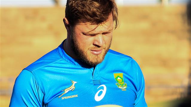 Vermeulen and Steyn short-listed for Player of the Year | News Article