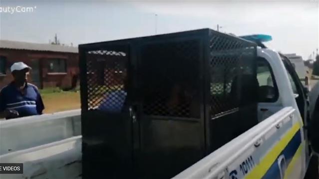 SAHRC 'disgusted' by #FSdogcage incident, launches probe | News Article