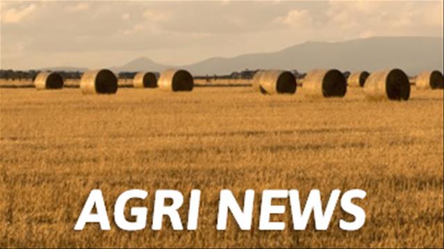 Agri podcast: NW Agriculture department allocated R1.2 billion | News Article