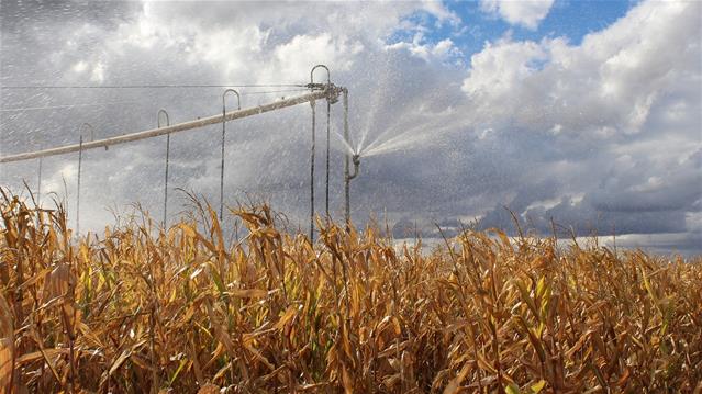 Agri-Uur: Jongste Safex-nuus | News Article