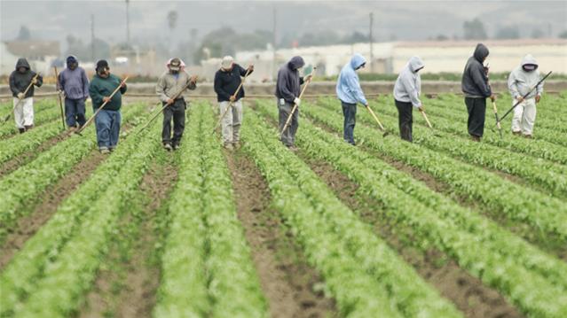 R1 billion fund to assist black farmers | News Article