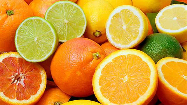 Positive projections for SA’s citrus industry  | News Article