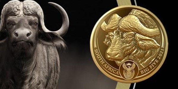 SA Mint completes ‘Big Five’ series with buffalo coin SA Mint completes ‘Big Five’ series with buffalo coin | News Article