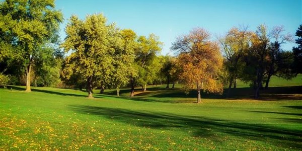 Pollen report for 26 March - 1 April 2021 Pollen report for 26 March - 1 April 2021 | News Article