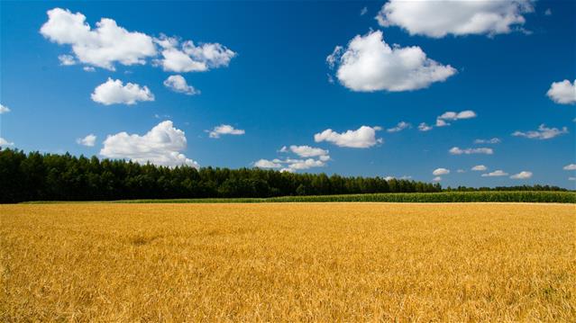 #Agbiz: Expropriation debates mask work being done behind the scenes | News Article