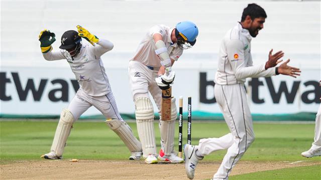 Dolphins claim the 4-Day title | News Article