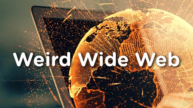 Weird Wide Web - Secret Life Feline | News Article