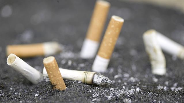 BATSA welcomes tobacco sector probe | News Article