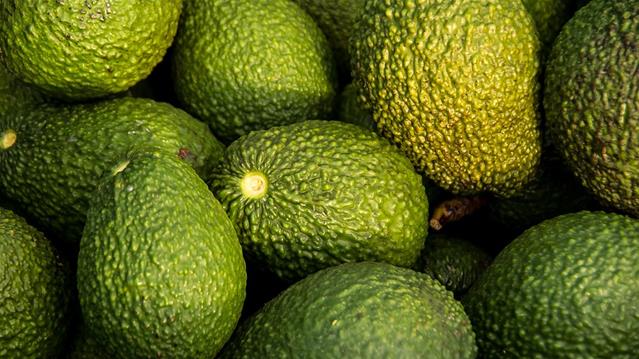 #Agbiz: SA agricultural sector's momentum remains positive in 2021 | News Article