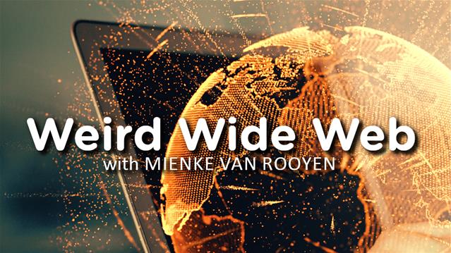 Weird Wide Web - cheating or cheating? | News Article