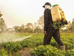 Consumers warned of buying pesticides from street hawkers  | News Article