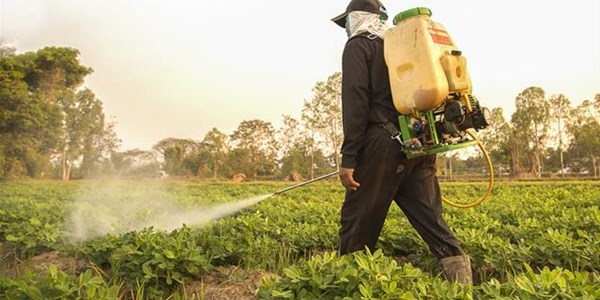 Consumers warned of buying pesticides from street hawkers  | News Article