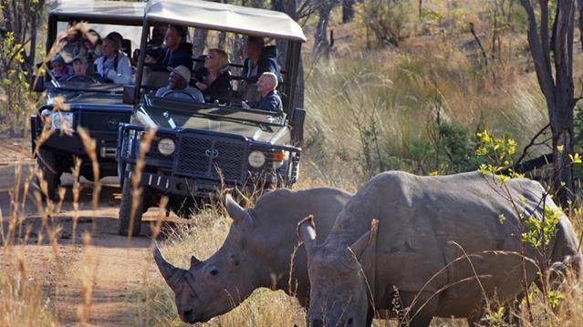 #OFMBusinessHour: Easter presents nature-centric tourism businesses with opportunity | News Article