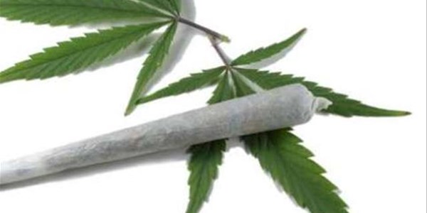 Legal dagga use poses challenges to workplace policies Legal dagga use poses challenges to workplace policies | News Article