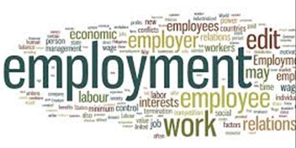 Digital economy key to job creation Digital economy key to job creation | News Article