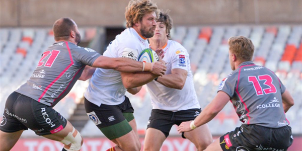 Cheetahs waiting on word from SA Rugby | News Article