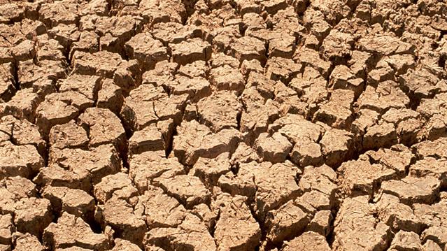 #ClimateChange: Temperature projections in drought-stricken NC do not look good | News Article