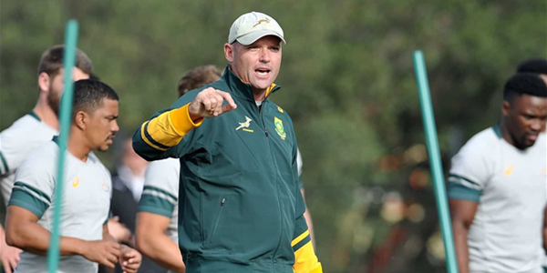 Alignment camps a reality check for Springboks Alignment camps a reality check for Springboks | News Article