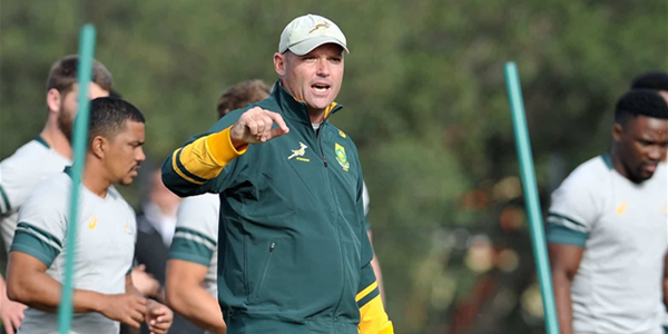 Alignment camps a reality check for Springboks | News Article