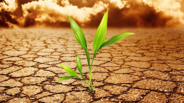 How to avoid contributing to #ClimateChange | News Article