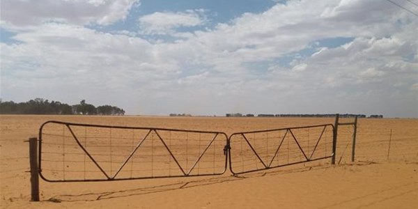 Agri podcast: Department visits Northern Cape Agri podcast: Department visits Northern Cape | News Article