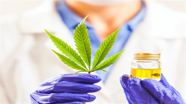 420 & Cannabis Law | News Article