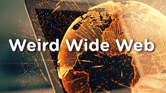 Weird Wide Web - Informative but funny flight announcement | News Article