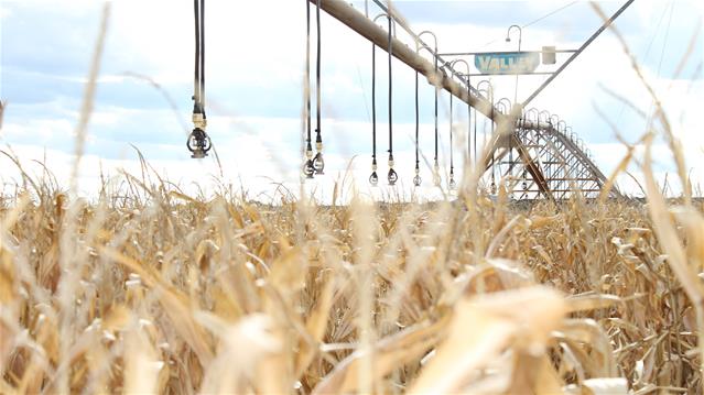 Agri-Uur: Jongste Safex-nuus | News Article