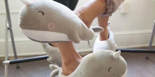 Slipper Day to help Reach For A Dream heroes Slipper Day to help Reach For A Dream heroes | News Article