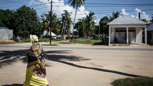Mozambique conflict: SANDF mission continues | News Article