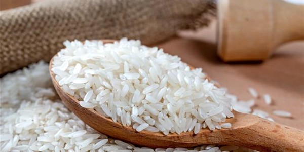 Agri podcast: Rice imports to SA increase - Agbiz | News Article