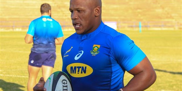 Springboks start season preparations with alignment camps | News Article