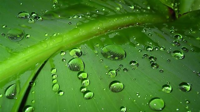 #Agbiz: The weather is again a central focus in SA's agriculture | News Article