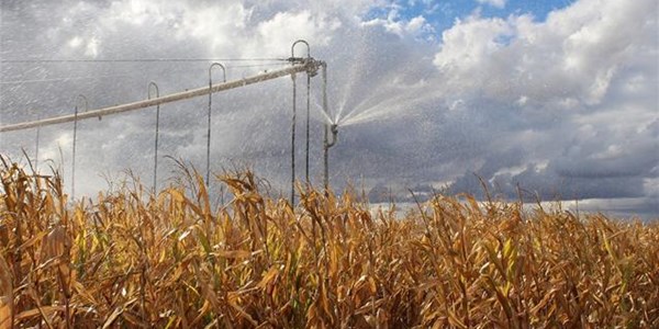 Agri-Uur: Jongste Safex-nuus Agri-Uur: Jongste Safex-nuus | News Article
