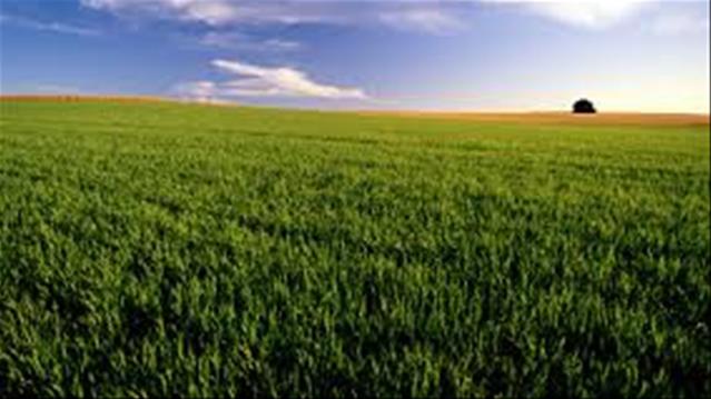 #Agbiz: USDA and IGC paint a positive picture of global grains and oilseed crop | News Article