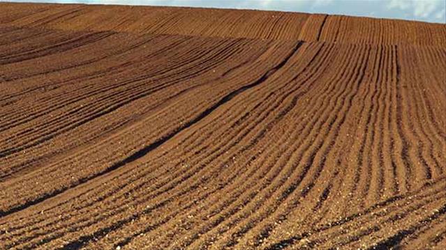 Expropriation of land in the spotlight | News Article