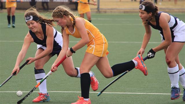 Department suspends all contact sport in schools | News Article